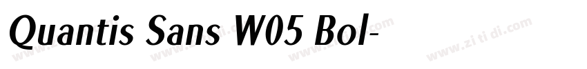 Quantis Sans W05 Bol字体转换